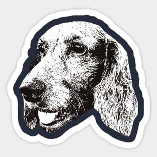 American Cocker Spaniel - Cocker Christmas Gifts Sticker